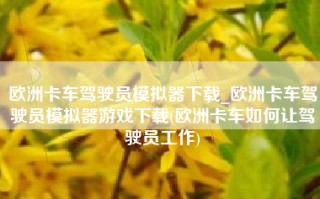欧洲卡车驾驶员模拟器下载_欧洲卡车驾驶员模拟器游戏下载(欧洲卡车如何让驾驶员工作)
