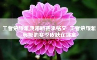 王者荣耀雅典娜新赛季铭文_王者荣耀雅典娜的赛季皮肤在哪拿
