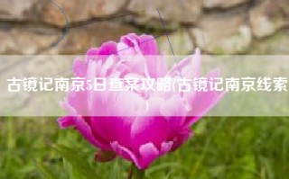 古镜记南京5日查案攻略(古镜记南京线索)