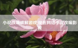 小说改编破解游戏,现在网络小说改编影视