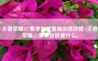 王者荣耀S27赛季伽罗最强出装攻略 (王者荣耀s27赛季皮肤是什么)