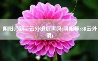 阴阳师新ssr云外镜厉害吗(阴阳师SSR云外镜)