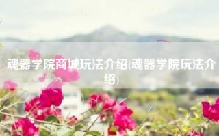 魂器学院商城玩法介绍(魂器学院玩法介绍)