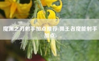 魔渊之刃射手加点推荐(拥王者魔能射手加点)