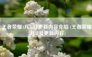 王者荣耀3月31日更新内容介绍 (王者荣耀3月31号更新内容)