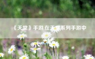 《天堂》手游,在天堂系列手游中