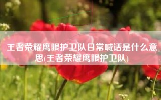 王者荣耀鹰眼护卫队日常喊话是什么意思(王者荣耀鹰眼护卫队)