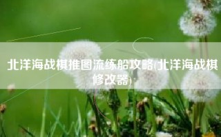 北洋海战棋推图流练船攻略(北洋海战棋修改器)