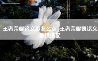王者荣耀铭文页怎么点_王者荣耀凯铭文最强搭配