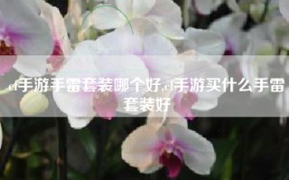 cf手游手雷套装哪个好,cf手游买什么手雷套装好