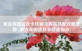 重返帝国波狄卡技能及阵容搭配攻略推荐 (重返帝国波狄卡技能加点)