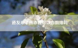 道友来了燕赤霞可以当前排吗