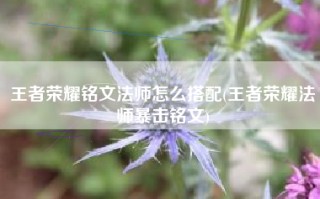 王者荣耀铭文法师怎么搭配(王者荣耀法师暴击铭文)