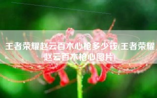 王者荣耀赵云百木心枪多少钱(王者荣耀赵云百木枪心图片)