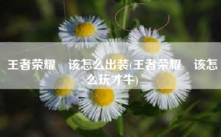 王者荣耀暃该怎么出装(王者荣耀暃该怎么玩才牛)