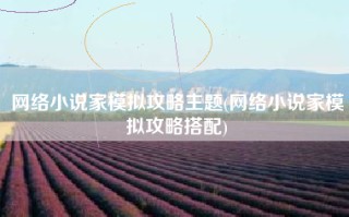 网络小说家模拟攻略主题(网络小说家模拟攻略搭配)