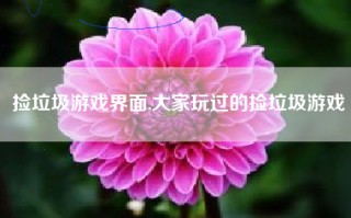 捡垃圾游戏界面,大家玩过的捡垃圾游戏