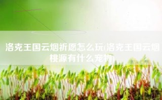 洛克王国云烟祈愿怎么玩(洛克王国云烟桃源有什么宠物)