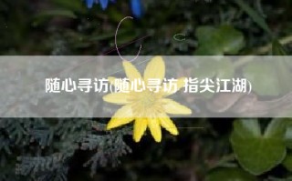 随心寻访(随心寻访 指尖江湖)