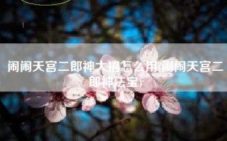 闹闹天宫二郎神大招怎么用(闹闹天宫二郎神法宝)