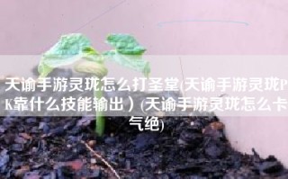 天谕手游灵珑怎么打圣堂(天谕手游灵珑PK靠什么技能输出）(天谕手游灵珑怎么卡气绝)