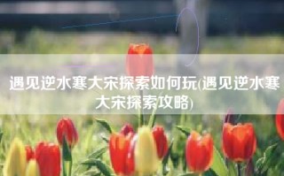 遇见逆水寒大宋探索如何玩(遇见逆水寒大宋探索攻略)