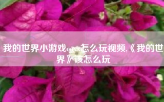 我的世界小游戏ooxx怎么玩视频,《我的世界》该怎么玩