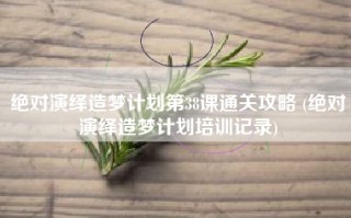 绝对演绎造梦计划第38课通关攻略 (绝对演绎造梦计划培训记录)