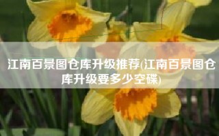 江南百景图仓库升级推荐(江南百景图仓库升级要多少空碟)