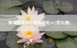 赛博朋克2077(赛博朋克2077怎么嫖)