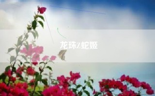 龙珠Z蛇姬