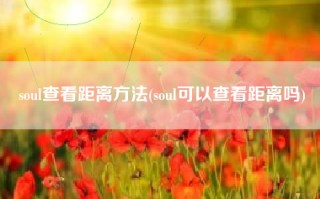 soul查看距离方法(soul可以查看距离吗)