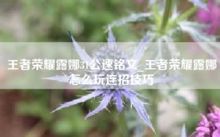 王者荣耀露娜31公速铭文_王者荣耀露娜怎么玩连招技巧