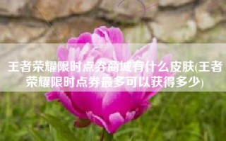 王者荣耀限时点券商城有什么皮肤(王者荣耀限时点券最多可以获得多少)