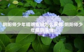 阴阳师少年晴明皮肤怎么获得(阴阳师少年晴明头像)