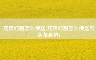 龙族幻想怎么传送(龙族幻想怎么传送到队友身边)