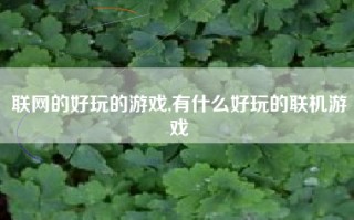 联网的好玩的游戏,有什么好玩的联机游戏