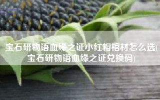 宝石研物语血缘之证小红帽棺材怎么选(宝石研物语血缘之证兑换码)
