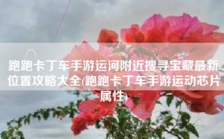 跑跑卡丁车手游运河附近搜寻宝藏最新位置攻略大全(跑跑卡丁车手游运动芯片属性)