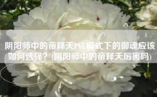 阴阳师中的帝释天PVE模式下的御魂应该如何选择？(阴阳师中的帝释天厉害吗)