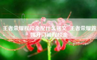 王者荣耀程咬金配什么铭文_王者荣耀露娜开门被程咬金