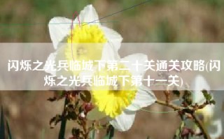 闪烁之光兵临城下第二十关通关攻略(闪烁之光兵临城下第十一关)