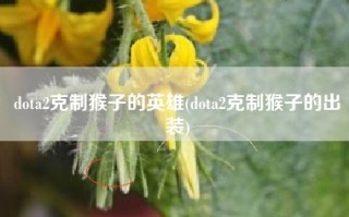 dota2克制猴子的英雄(dota2克制猴子的出装)