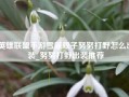 英雄联盟手游雪原双子努努打野怎么出装_努努打野出装推荐