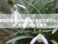 英雄联盟手游雪原双子努努打野怎么出装_努努打野出装推荐