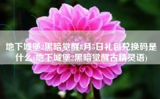 地下城堡2黑暗觉醒8月5日礼包兑换码是什么(地下城堡2黑暗觉醒古精灵语)