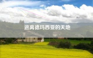 逃离德玛西亚的天地