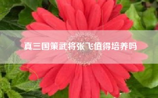 真三国策武将张飞值得培养吗