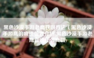 黑色沙漠手游老鹰获取方法（黑色沙漠手游鹰的痕迹位置介绍(黑色沙漠手游老鹰喜欢什么食物)