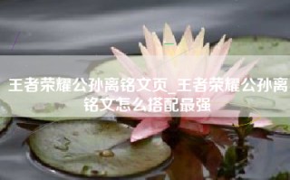 王者荣耀公孙离铭文页_王者荣耀公孙离铭文怎么搭配最强